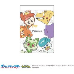 ポケモンA ミニメモ ポケモンの輪 306019