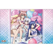 ブシロード ラバーマットコレクション V2 Vol.1886 戦姫絶唱シンフォギアXD UNLIMITED 翼＆クリス＆マリア [トレーディングカード用品]