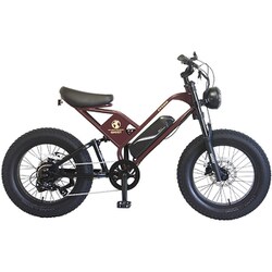 CYCOO TDN-237L-PL 電動アシスト自転車 GHOST 20インチ 36V 11.2Ah 外装7段 ヴィンテージブラウン TDN-237L-PL-VBR