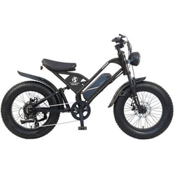 CYCOO TDN-237L-PL-F 電動アシスト自転車 GHOST 20インチ 36V 11.2Ah 外装7段 ブラック(フェンダー付) TDN-237L-PL-F-BK