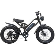 CYCOO TDN-237L-PL-F 電動アシスト自転車 GHOST 20インチ 36V 11.2Ah 外装7段 ブラック(フェンダー付) TDN-237L-PL-F-BK