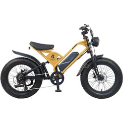 CYCOO TDN-237L-PL-F 電動アシスト自転車 GHOST 20インチ 36V 11.2Ah 外装7段 イエロー(フェンダー付) TDN-237L-PL-F-YE