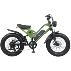 CYCOO TDN-237L-PL-F 電動アシスト自転車 GHOST 20インチ 36V 11.2Ah 外装7段 カーキ(フェンダー付) TDN-237L-PL-F-KH