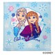 WP486500 ディズニー ウォッシュタオル 2枚組 ウィークエンド アナと雪の女王