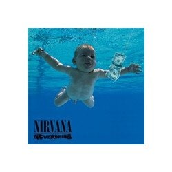 Nirvana／Nevermind（LP） [輸入盤アナログディスク]