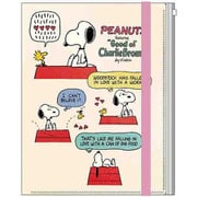 【限定】 ゴムバンド付きクリアファイル5P+F PENUTS Faborite Story アイボリー S2175738