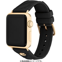 Apple Watch（38/40/41mm）用 バンド ブラックレザーゴールドロゴ 14700317