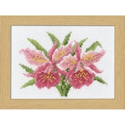 刺しゅうキット 12ヶ月の花フレーム 1月 カトレア 7506
