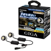 GIGA LEDフォグバルブ S3500GSD 6000K/3000K 3500lm BW583