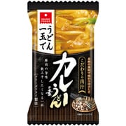 カレーうどんの素 こだわりの出汁 22g [フリーズドライ]