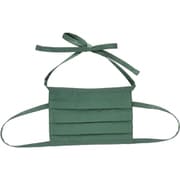 マスク(2枚組) グリーン AD-505