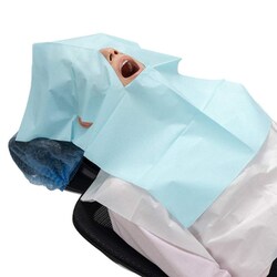 三角穴フェイスガードII ブルーサイズ：42×56cm 7161