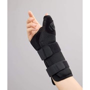 ハイブリッドシーネサムスパイカ 右L 198603