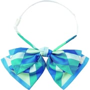 リボン（レディス用） ブルー EAZ880-6