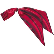 ロングスカーフ（レディス用） EAZ604-1