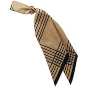 ロングスカーフ（フリー） キャメル EAZ969-8