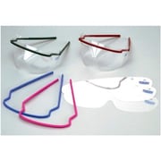 セーフビュープラスチックレンズ 027-500010-00