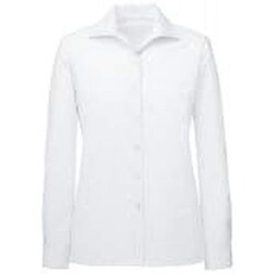 長袖ブラウス 17号 FB75529-1