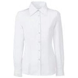 長袖ブラウス 15号 FB7548-1