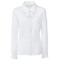 長袖ブラウス（リボン2個付） 15号 FB7547-1