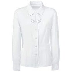 長袖ブラウス（リボン付） 17号 FB7546-1