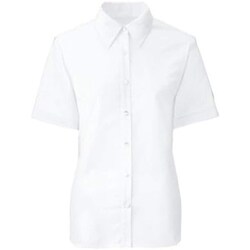 半袖ブラウス 11号 FB71029-1