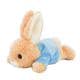 223494-26 ピーターラビット ぬいぐるみ S HAI
