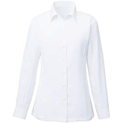 長袖シャツブラウス 15号 ホワイト EWB385-11