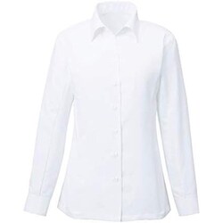 長袖シャツブラウス 17号 ホワイト EWB385-11