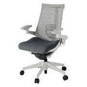 Act2（アクト2） エラストマ―バック 4D可動肘 ランバーサポート付 ベース/ライトグレー 張地/ダークグレー 樹脂脚 ウレタンキャスター 受注生産品 KJ427PS-MGNC3T6