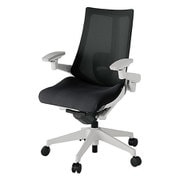 Act2（アクト2） メッシュバック 4D可動肘 ランバーサポート付 ベース/ライトグレー 張地/ブラック 樹脂脚 ナイロンキャスター 受注生産品 KJ-457JV-GNT1