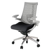 Act2（アクト2） エラストマ―バック 4D可動肘 ランバーサポート付 ベース/ライトグレー 張地/ブラック アルミ脚 ウレタンキャスター 受注生産品 KJ427PS-MZNT1T6