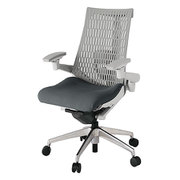 Act2（アクト2） エラストマ―バック 4D可動肘 ランバーサポート付 ベース/ライトグレー 張地/ダークグレー アルミ脚 ナイロンキャスター 受注生産品 KJ427PS-ZNC3T6