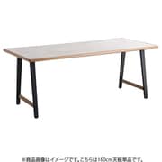 テルム DT天板 160 WH/SNA 54692490