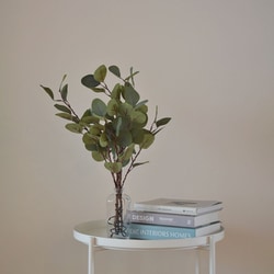 ブランチツリー ユーカリ48cm ライトグリーン [クリスマス クリスマスツリー ブランチツリー 間接照明 イルミネーション インテリア 置物 卓上]