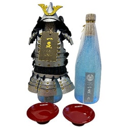 STRONG40％ 一気-GIN- 40度 720ml（盃2個 ボトルアーマー銀 1個） [ジン]