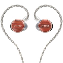 FP3 USB Type-C イヤホン インイヤーモニター型 Rosewood FIO-IEM-FP3TC-R