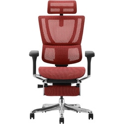 新基盤モデル フィット2 オットマン付き ブラックフレーム レッド FIT2-LPL-DR-BF-RD 459645