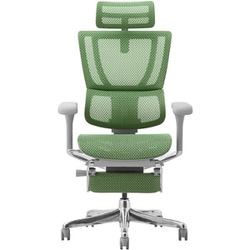 新基盤モデル フィット2 オットマン付き グレーフレーム グリーン FIT2-LPL-DR-GF-GN 459652