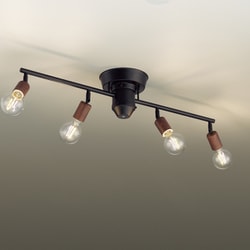 LEDロットスポット ヴィンテージスタイル 高演色 フィラメントランプ ヴィンテージ DXL-81521