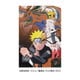 300-ML16 NARUTO-ナルト- 疾風伝 受け継がれしもの [ジグソーパズル 300ピース]