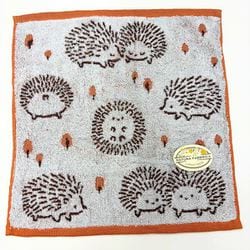 ハリズ ウォッシュタオル オレンジ NF3546