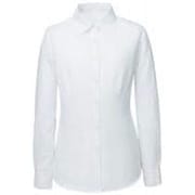 長袖ブラウス(19号) ホワイト SB7502-1