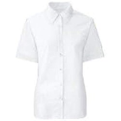 半袖ブラウス（23号） ホワイト FB71029-1