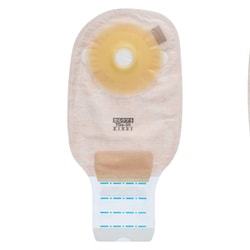 セルケア1・TDs（20） 21531