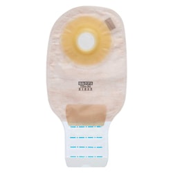 セルケア1・TDs（30） 21533