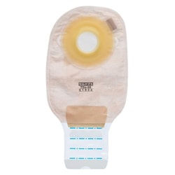 セルケア1・TDs（35） 21534