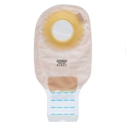 セルケア1・TDs（50） 21537