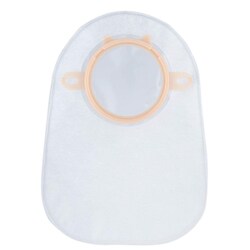 バイオマックスクローズドパウチ（L） 12213