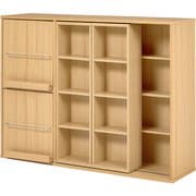 スライド棚付きコミックラック RCC-1565NA